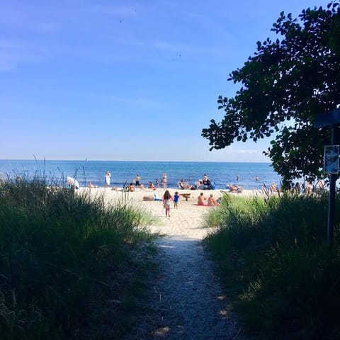 Beach nearby, sun loungers