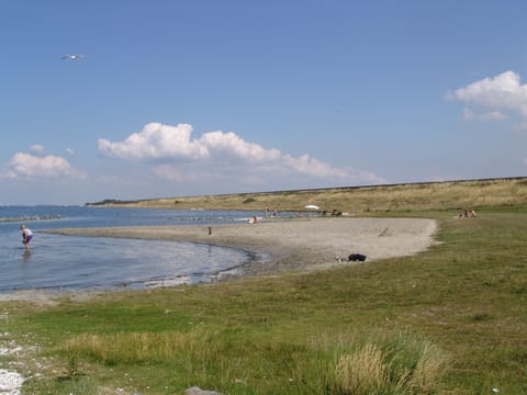 Beach nearby, sun loungers