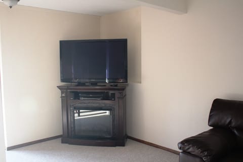 TV, fireplace, video library