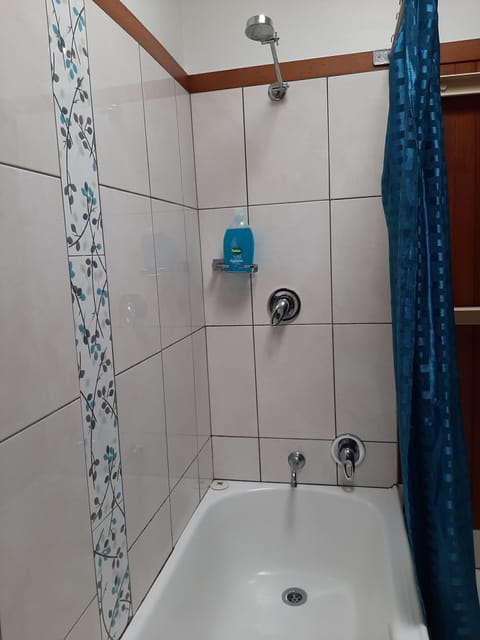Hair dryer, soap, shampoo, toilet paper