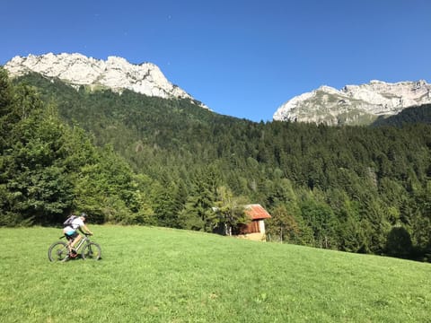 mountain biking & multi pleasure biking (trail around the lake, famous passes)