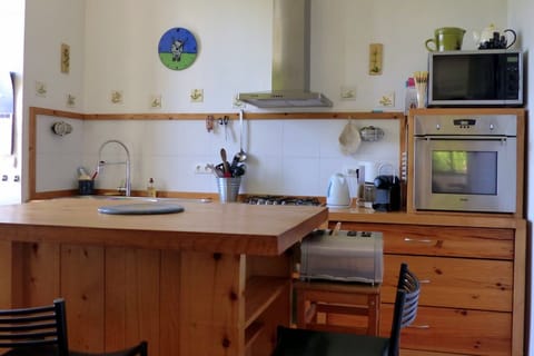 Kitchen (connects terrace & living room)