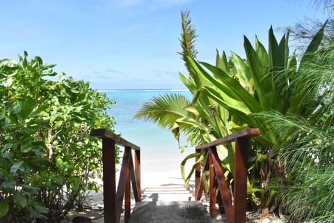 Beach nearby, beach towels