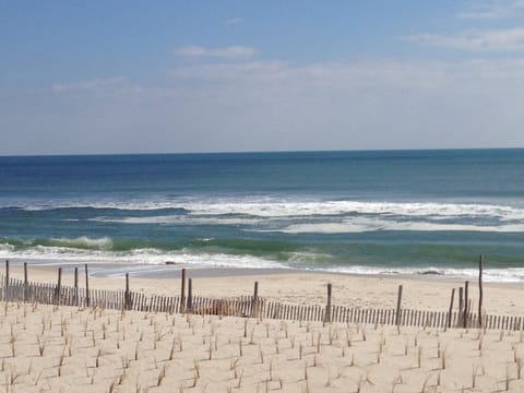 On the beach