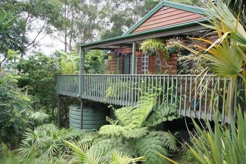 Set amongst tall eucalypts and tropical undergrowth, Treetops is very private.