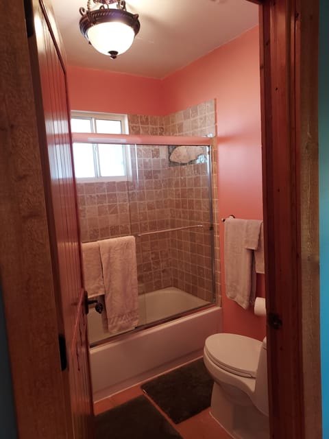 Combined shower/tub, hair dryer, towels