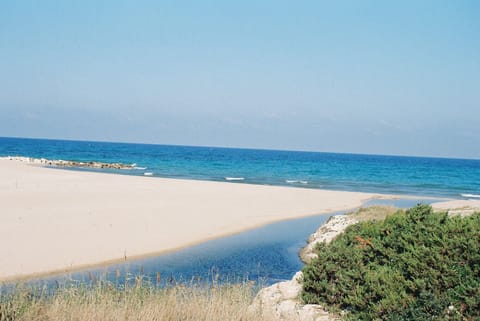 Beach towels