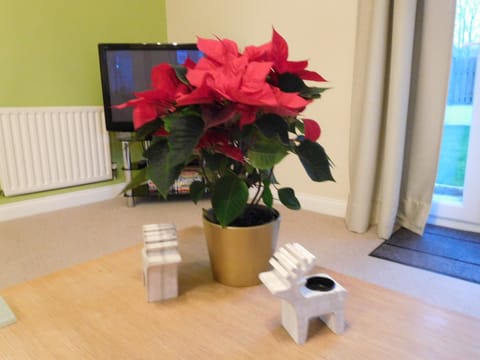 Christmas at The Coach House