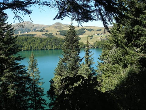 Lac Pavin