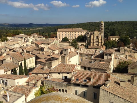 View of Uzes from the King's Tower.