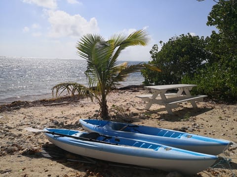 Beach nearby, sun loungers, beach towels