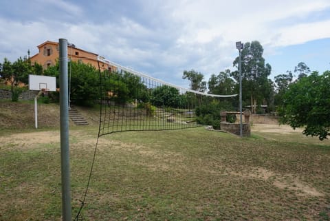 Sport court