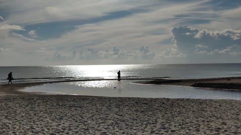 Beach nearby, sun loungers