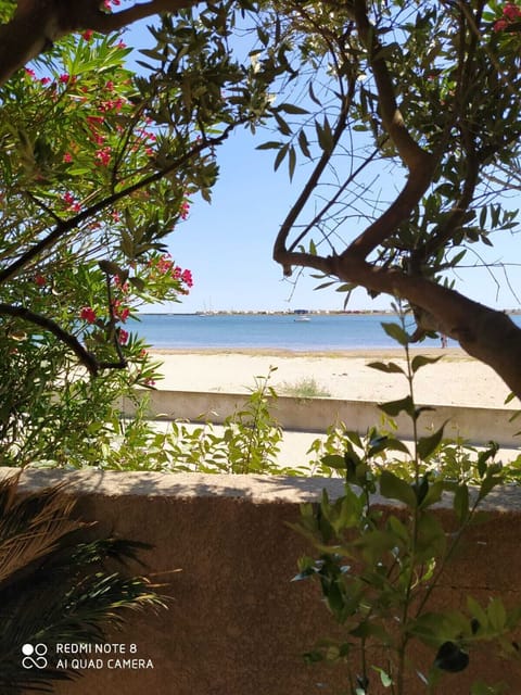 On the beach, sun loungers