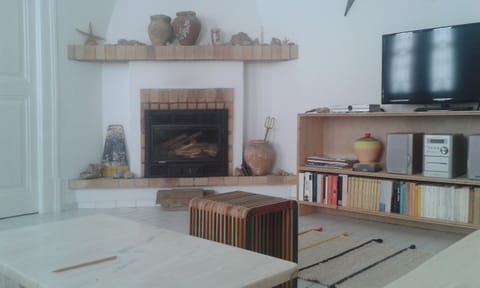 TV, fireplace, books, music library