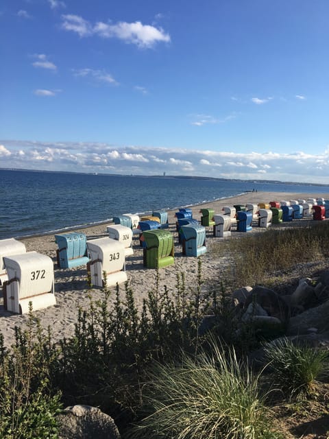 Beach nearby, sun loungers