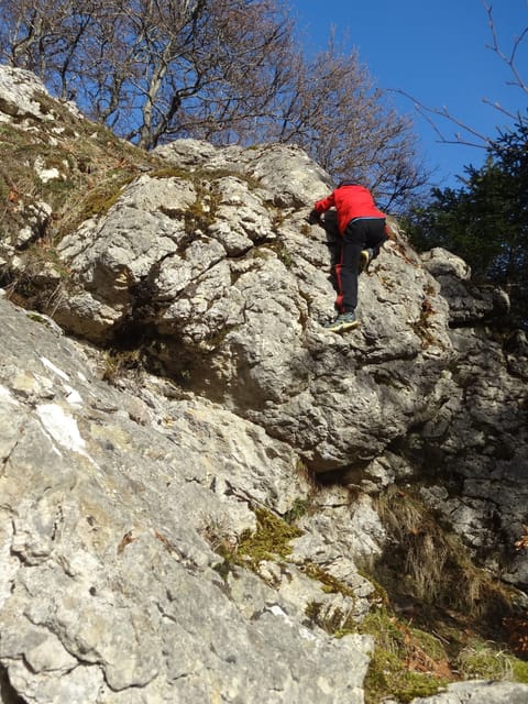 Large first floor studio in a peaceful building: no smoking, pets not allowed Apartment in Canton of Vaud