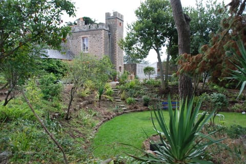 Views of the garden
