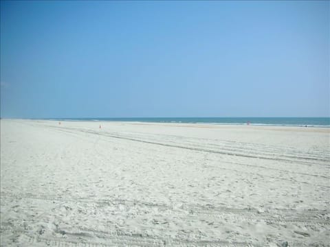 On the beach, sun loungers