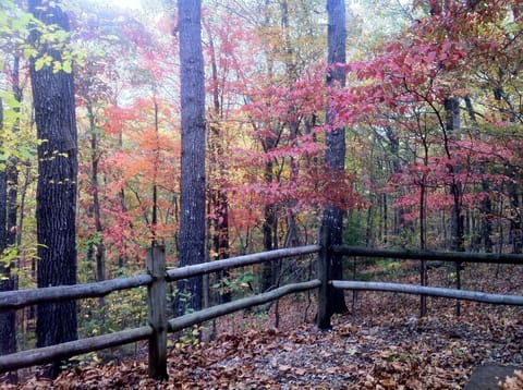 View out both bedrooms private entrances, from patio