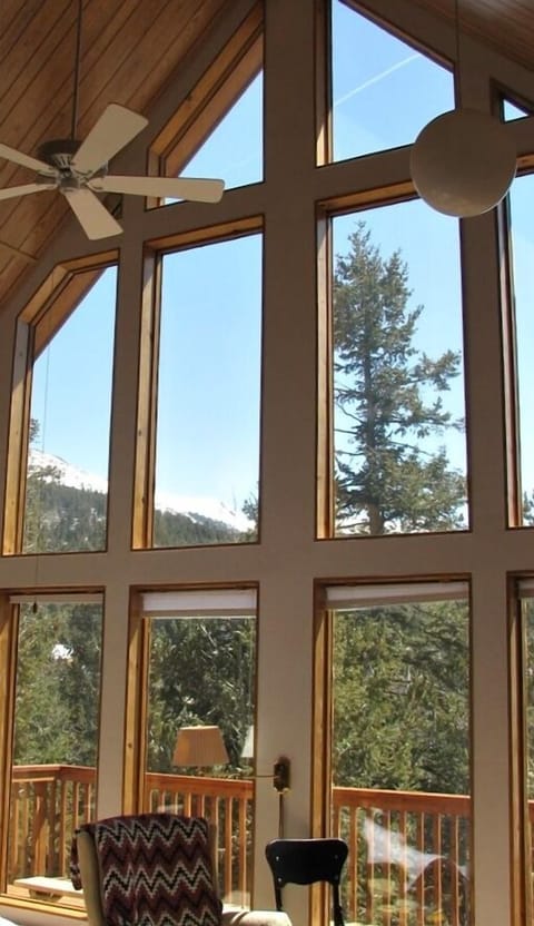 View out passive solar windows