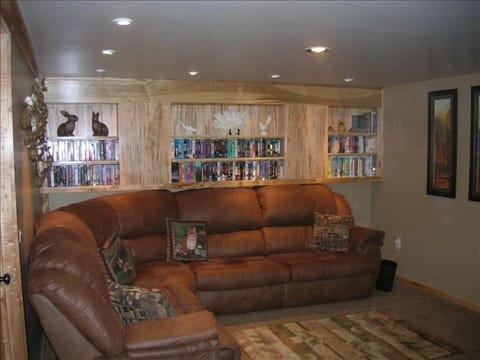 TV, DVD player, books, music library