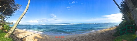 On the beach, sun loungers, beach towels