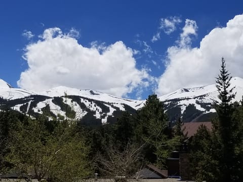 West View from Condo