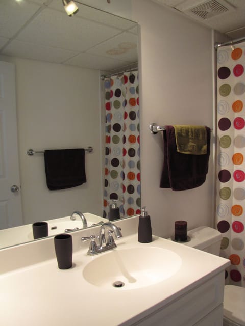 Combined shower/tub, hair dryer, towels, soap