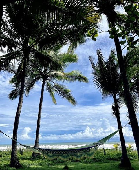 On the beach, sun loungers, beach towels