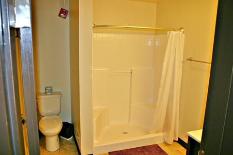 Combined shower/tub