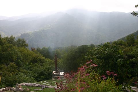 Authentic cedar wood fired hot tub. Perfectly relaxing anytime of year!
