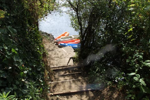 The steps down to the bank and the kayaks.