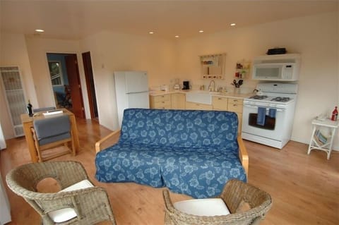 Downstairs combined - complete kitchen, living room with futon and dining for 3.