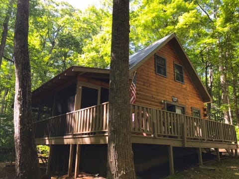 Newly screened in side porch!