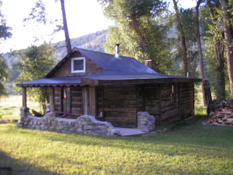 Wild Hare From Bunnylane Cabins