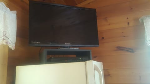 Television