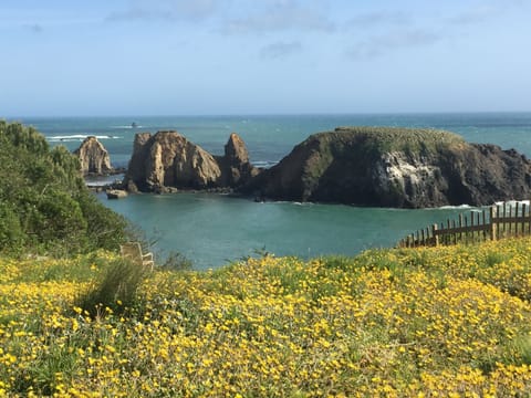 The view from our backyard.