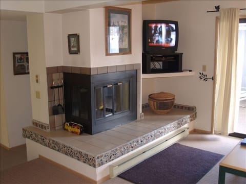 Fireplace, video games, DVD player, video library