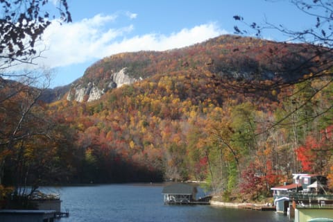 Spectacular fall color from the front porch.