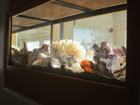Terrarium in hallway to half bath & laundry room.