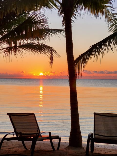 On the beach, sun loungers, beach towels