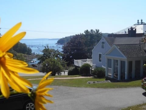 from our upper lawn, the view of the house overlooking the harbor.