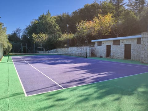 Sport court