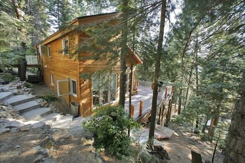 The Hummingbird Raven  House is surrounded by forest.