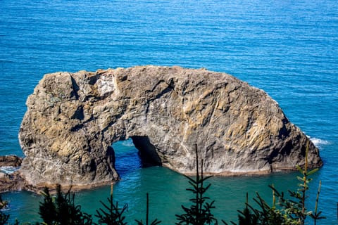 A State Park is adjacent to the property, 25 miles of spectacular coast line!