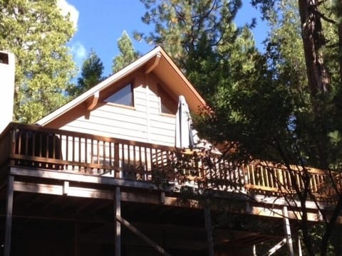 The deck and peak of the roof surrounded by beautiful trees.