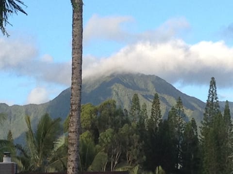 Check out the emerald mountain top from our huge covered Lanai