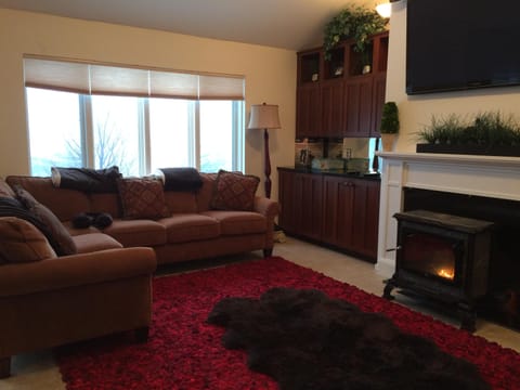 TV, fireplace, DVD player, stereo