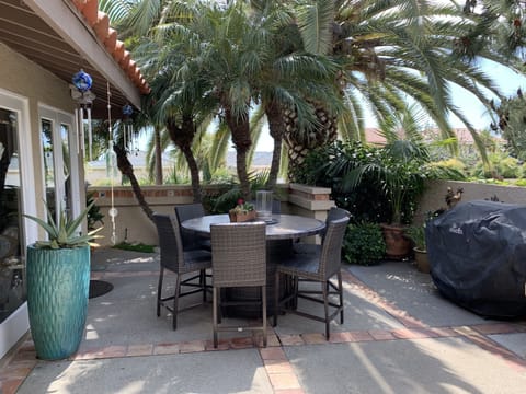 Backyard Table / fire pit